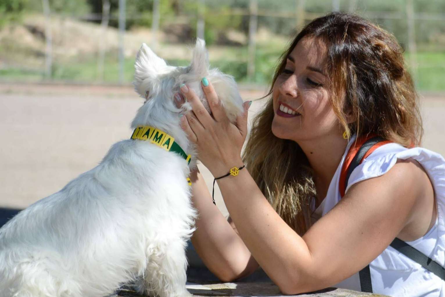 Proteger a la mascota con los collares y chapas personalizadas de Seron