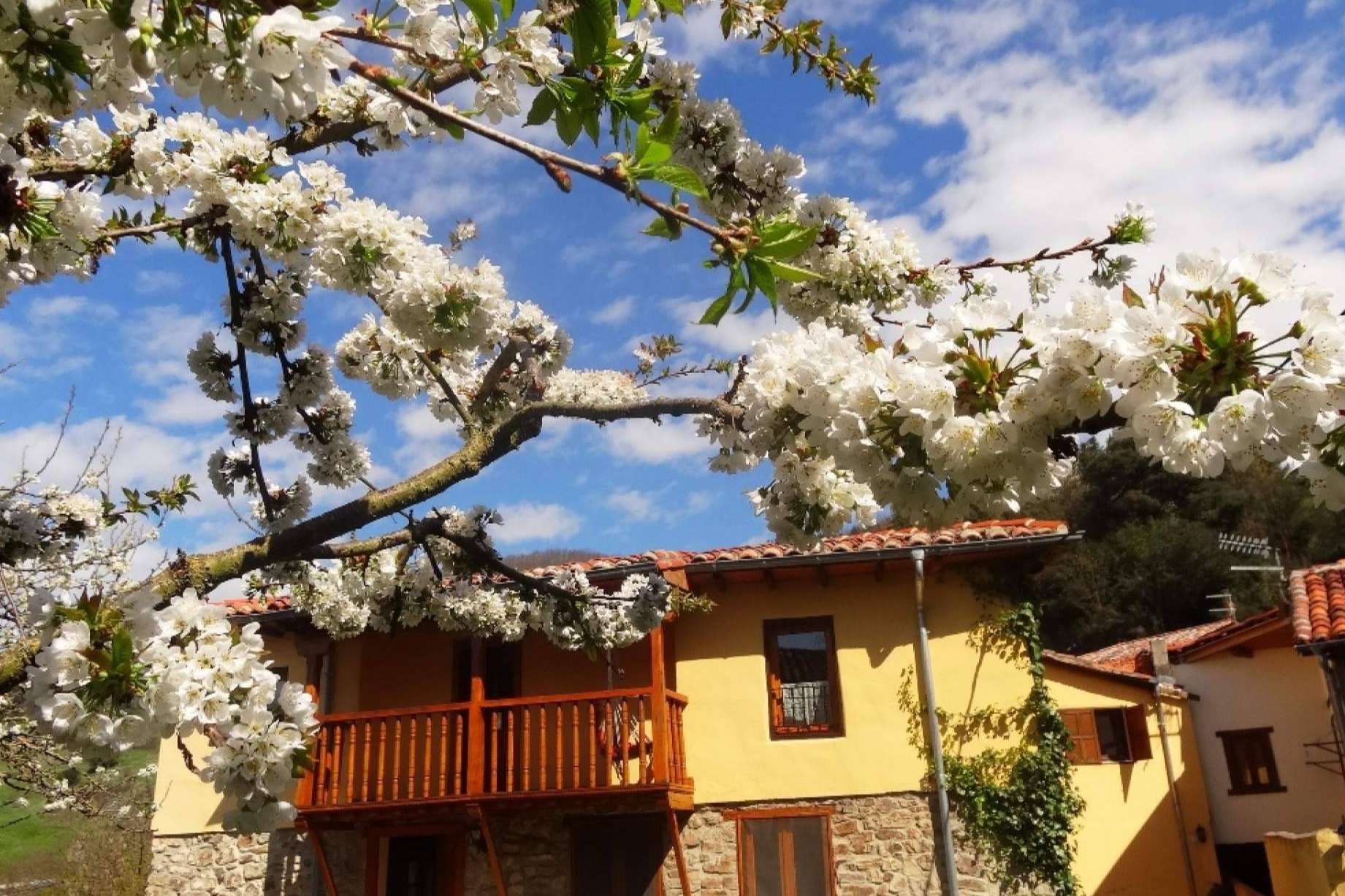La Perezosa ofrece un plan de vacaciones alternativas con yoga en el valle de Liébana, Cantabria