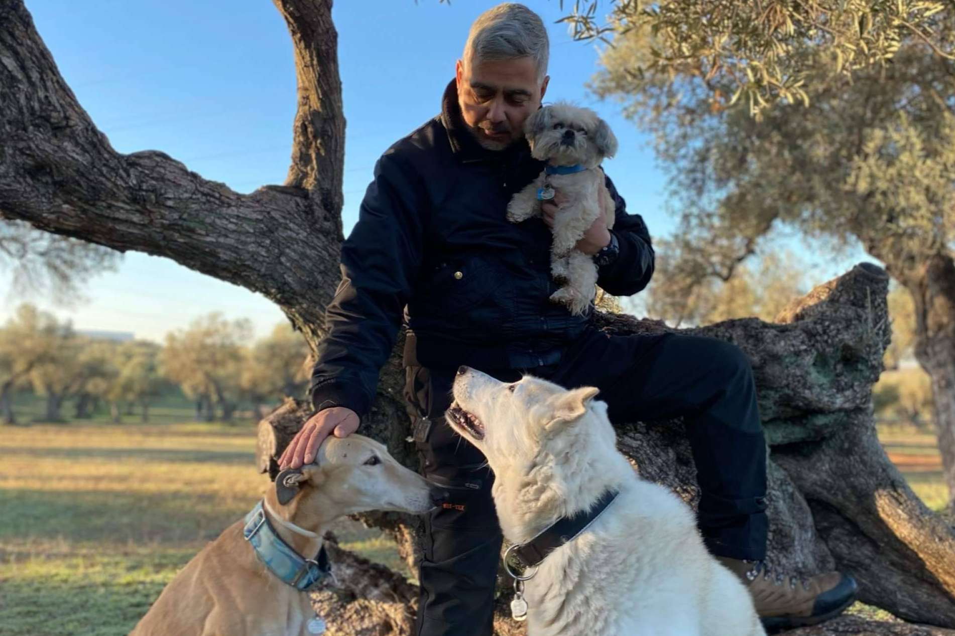 4EverDogs lanza un curso de educación canina basado en el Método Natural Leading