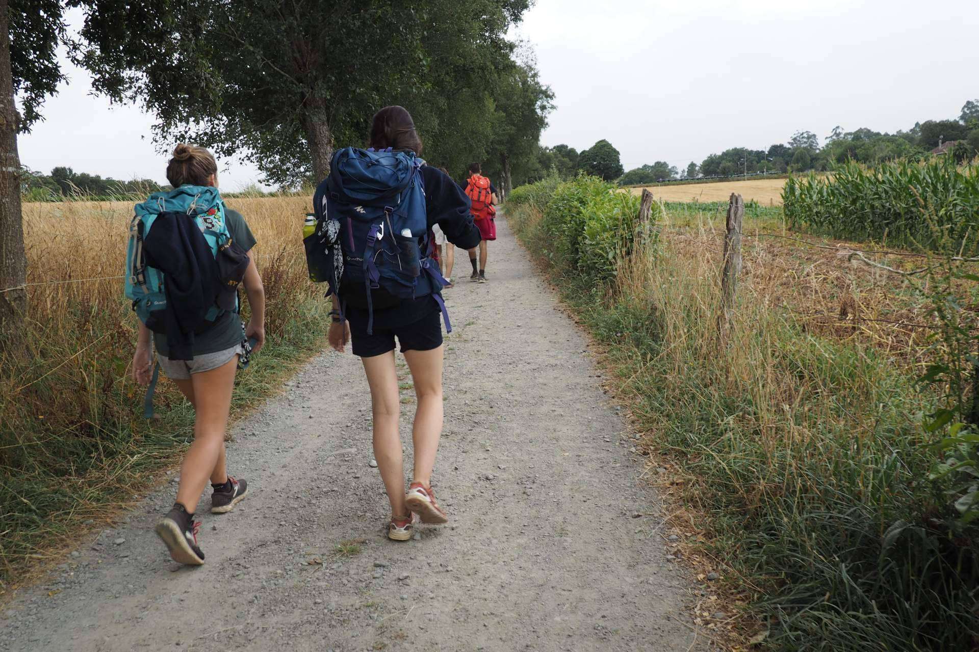 Descubrir las rutas del Camino de Santiago; Galiwonders facilita la elección ideal para cada viajero