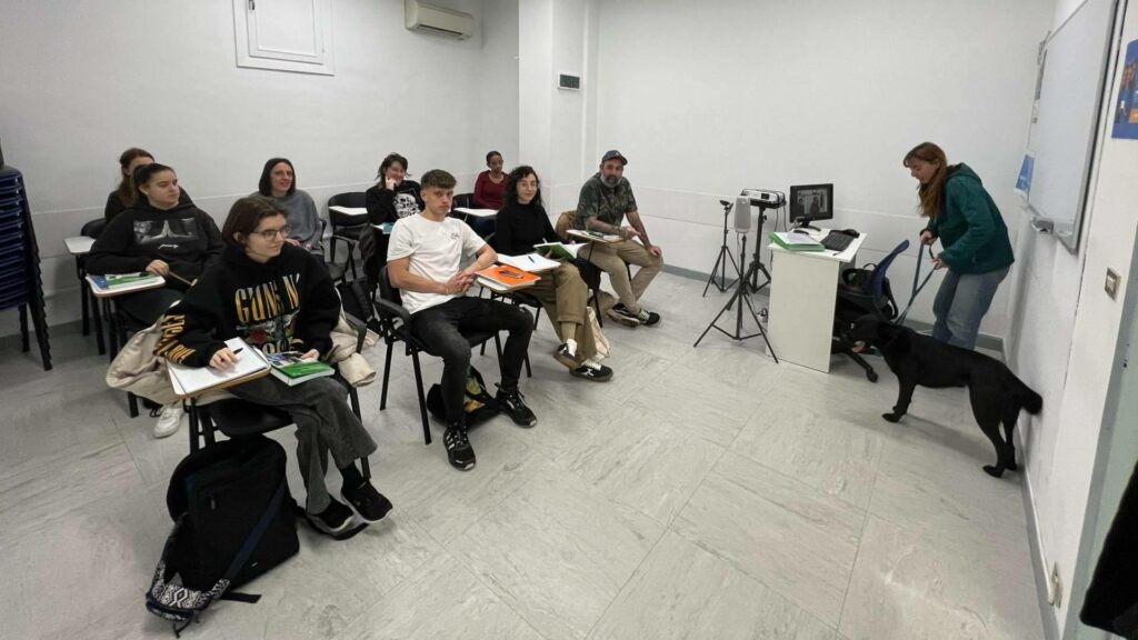 ISED abre el plazo de matrícula para formarse en algunos de los sectores con mayor demanda laboral