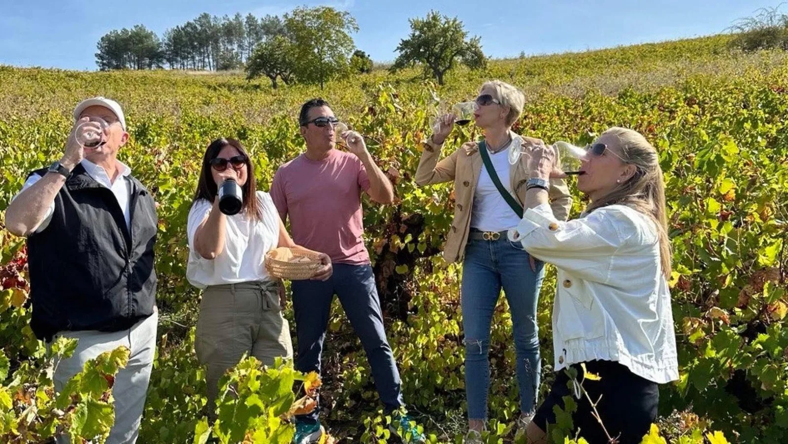 Tour de vinos frente a ir por cuenta propia; Wine Tours From Madrid explica el valor de una ruta organizada